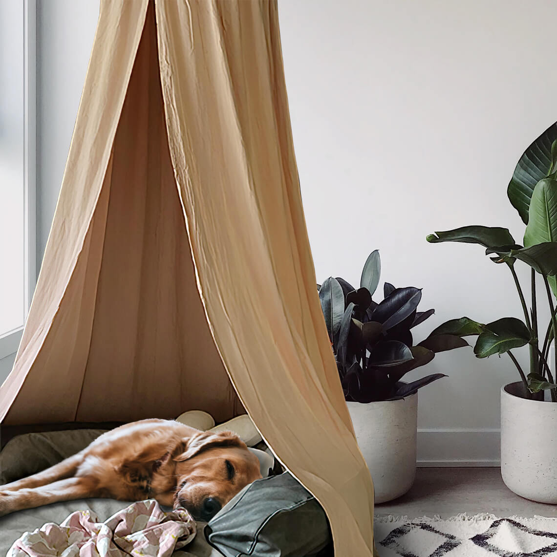 Stylish Soft Cosy Dog Tent Dog Teepee