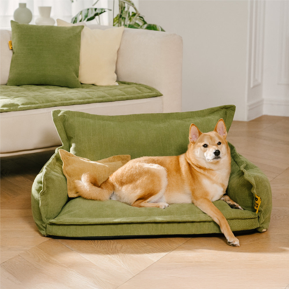 All-Season Chenille Dual-layer Removable Sponge Orthopedic Dog Bed With Pillow