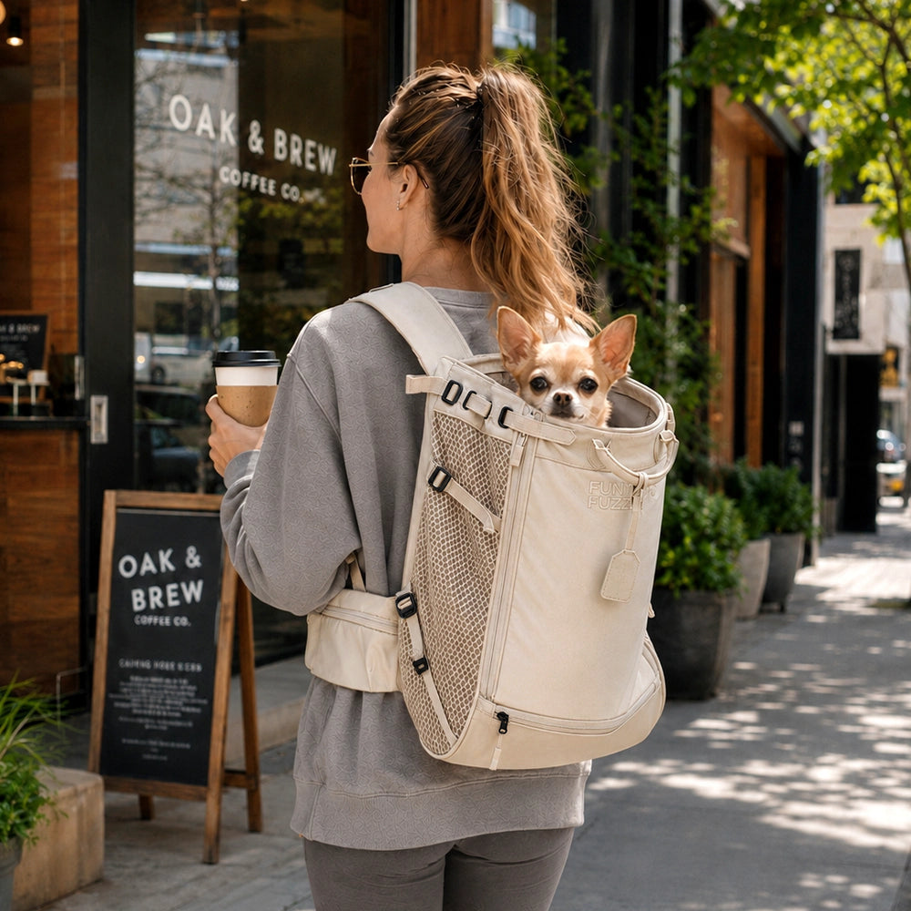 Dog Carrier Backpacks Dog Rucksack Dog Bike Carrier - Urban Roaming