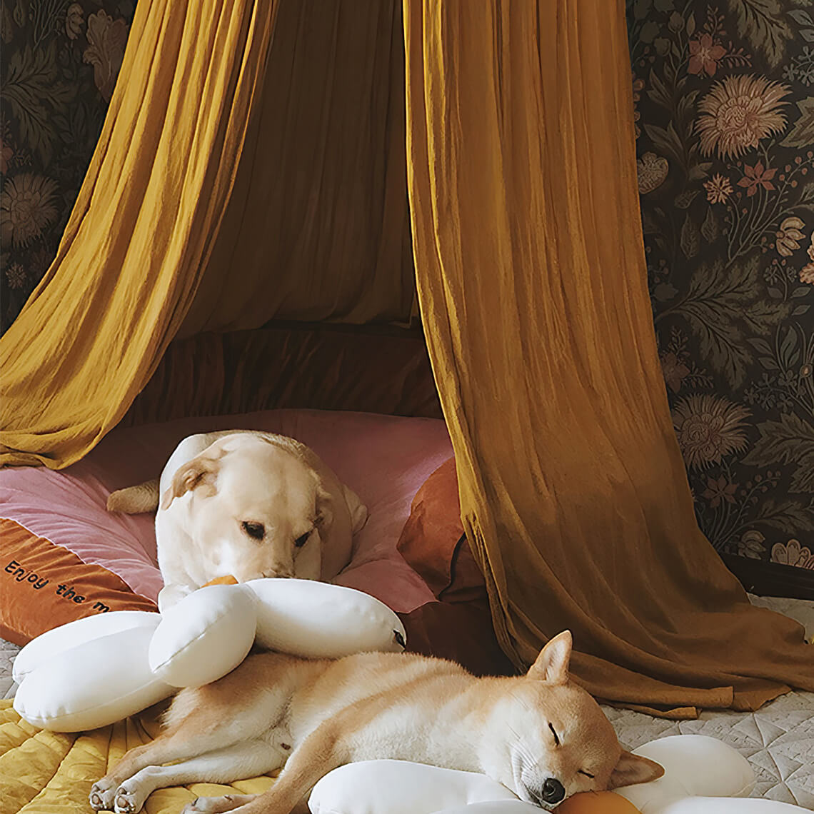Stylish Soft Cosy Dog Tent Dog Teepee