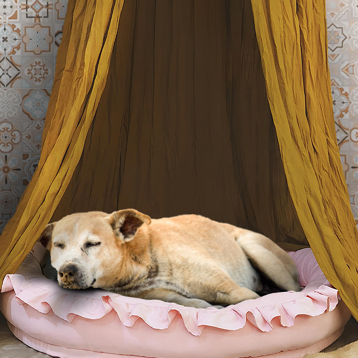 Stylish Soft Cosy Dog Tent Dog Teepee