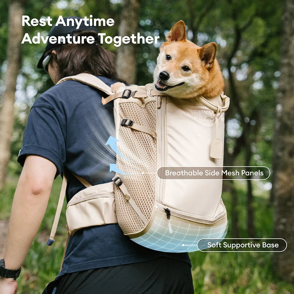 Dog Carrier Backpacks Dog Rucksack Dog Bike Carrier - Urban Roaming