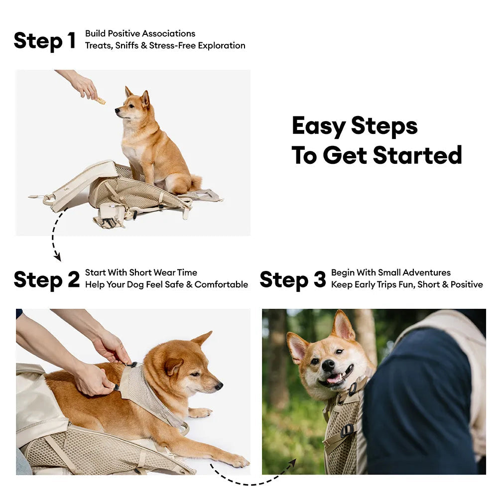 Dog Carrier Backpacks Dog Rucksack Dog Bike Carrier - Urban Roaming