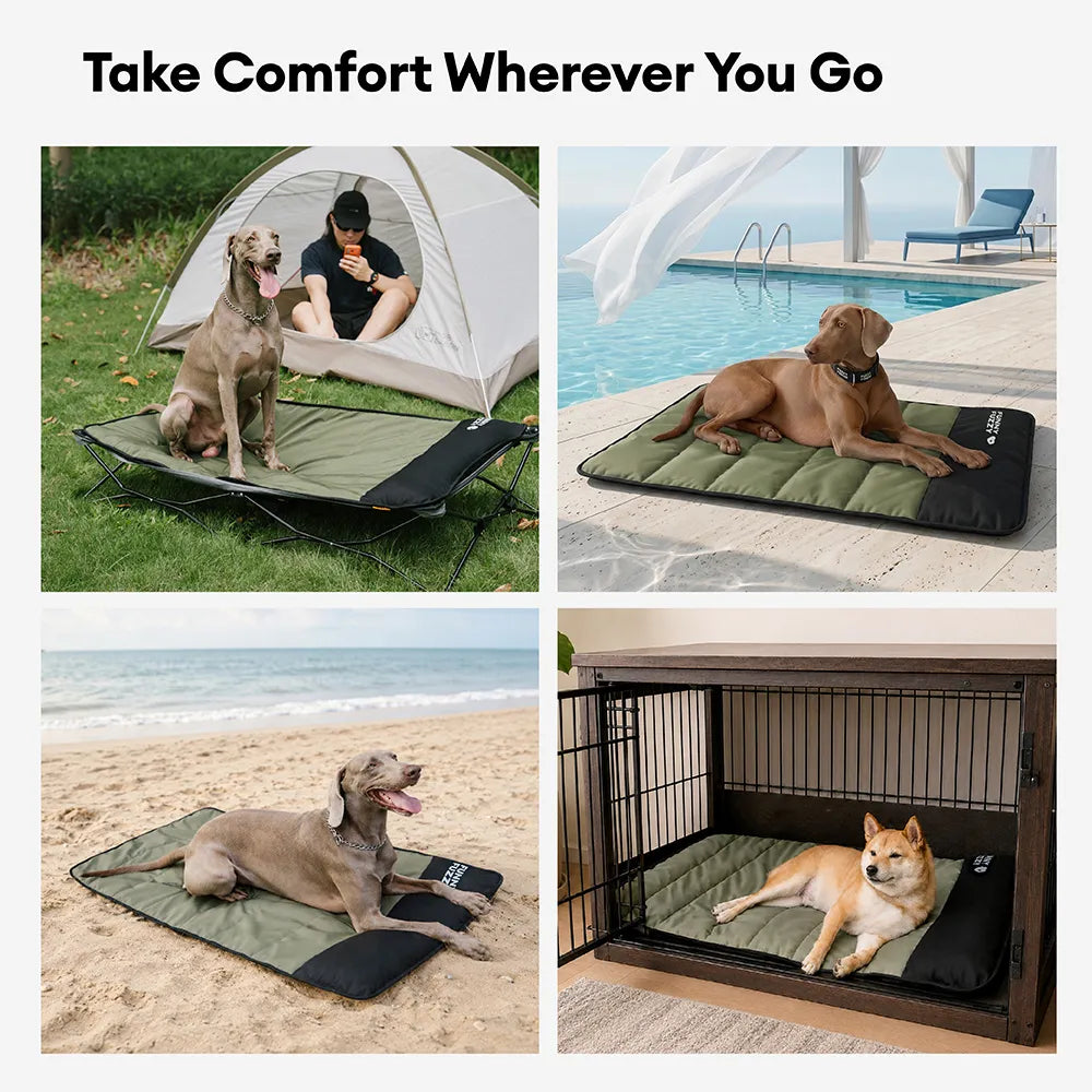Portable Waterproof Dog Mat-Urban Roaming