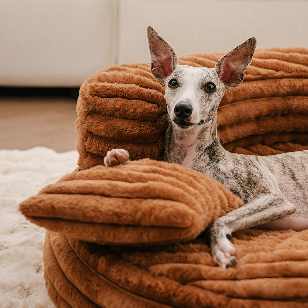 Ultra-Soft Ribbed Plush Removable Donut Orthopedic Dog Bed with Pillows - Cozy Nest