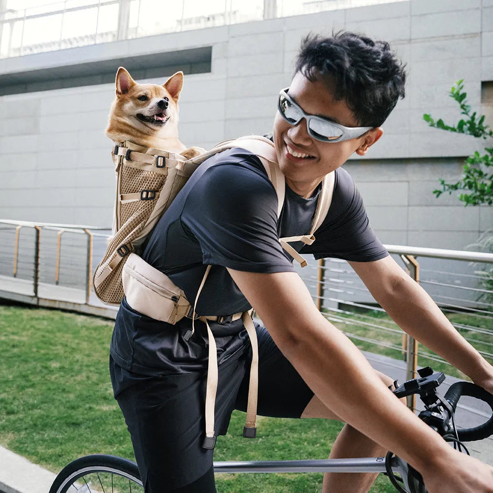 Dog Carrier Backpacks Dog Rucksack Dog Bike Carrier - Urban Roaming