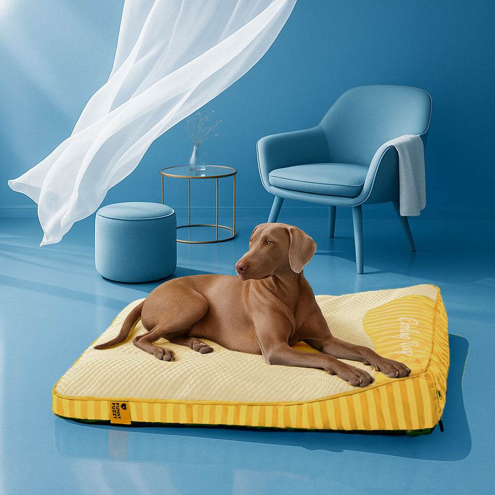 Extra Large Cooling Washable Rectangle Orthopedic Dog Bed - Pet-Friendly Bedroom