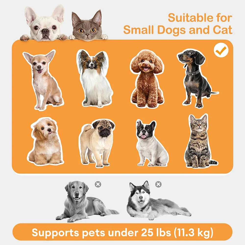 Elevated Pet Sofa Bed with Stairs Ramp for Bedside Lounge or Dog Window Perch - Pet-Friendly Bedroom