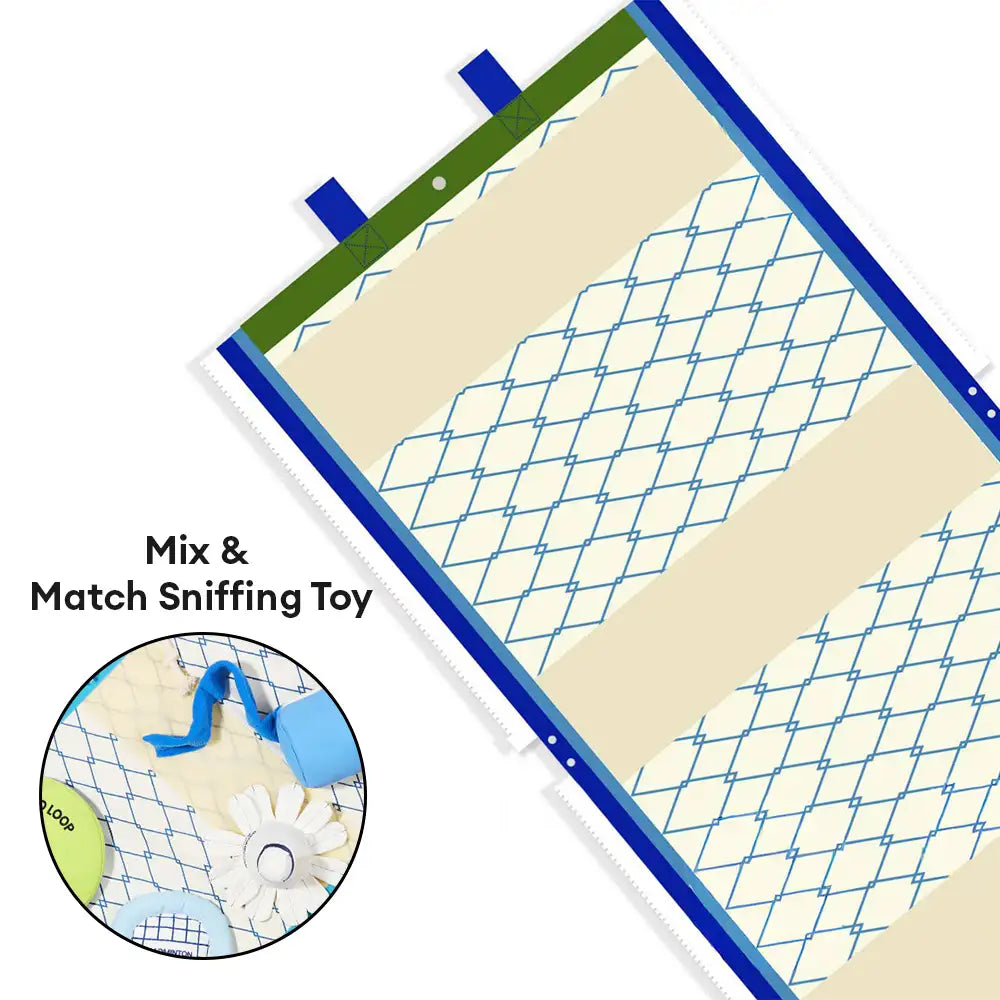 Beach Fun Series Ball Educational Interactive Dog Toys