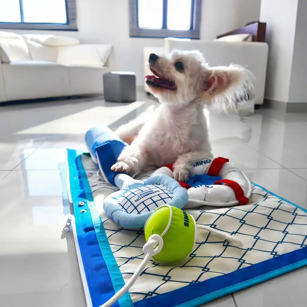 Beach Fun Series Ball Educational Interactive Dog Toys