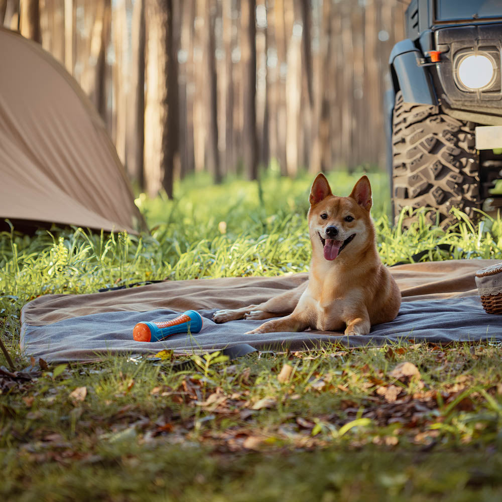 Classic Retro - Waterproof Camping & Car Dual-Use Back Seat Cover
