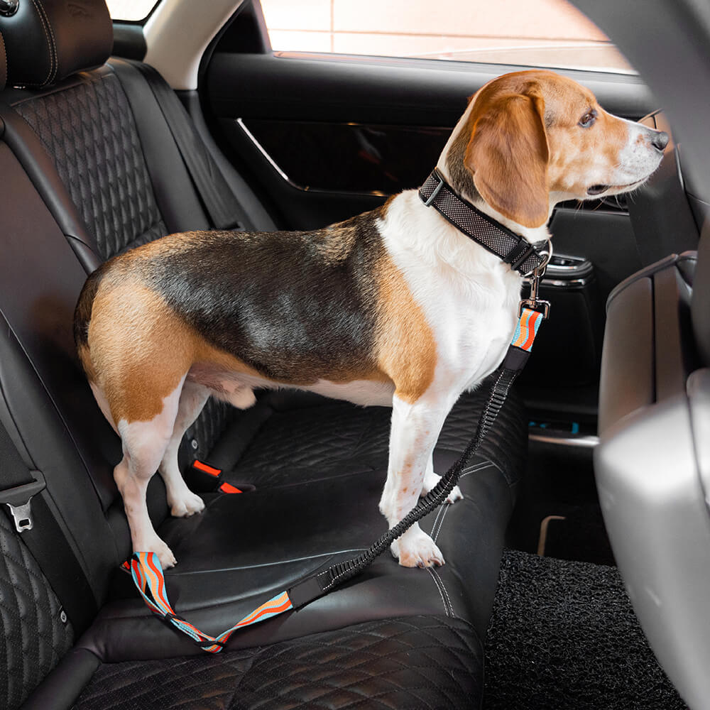 Colourful Buffer Adjustable Cool Dog Accessories Car Seat Belt