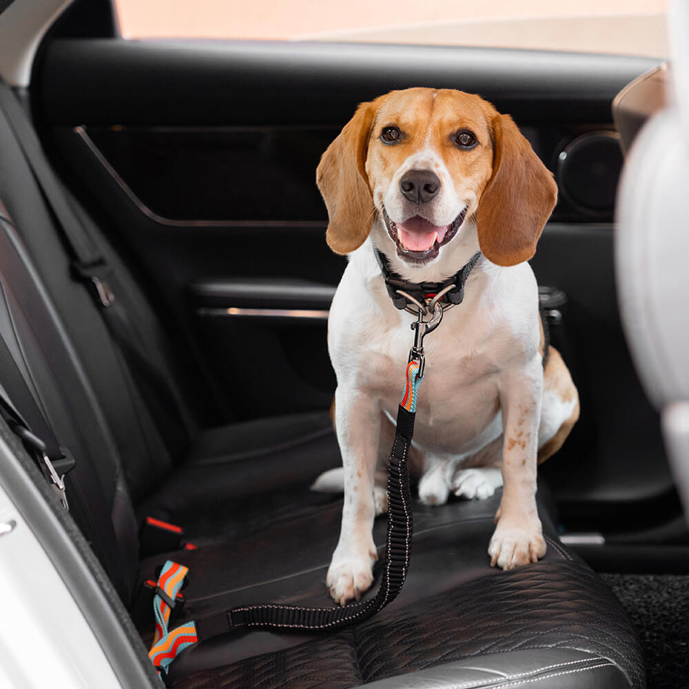 Colourful Buffer Adjustable Cool Dog Accessories Car Seat Belt