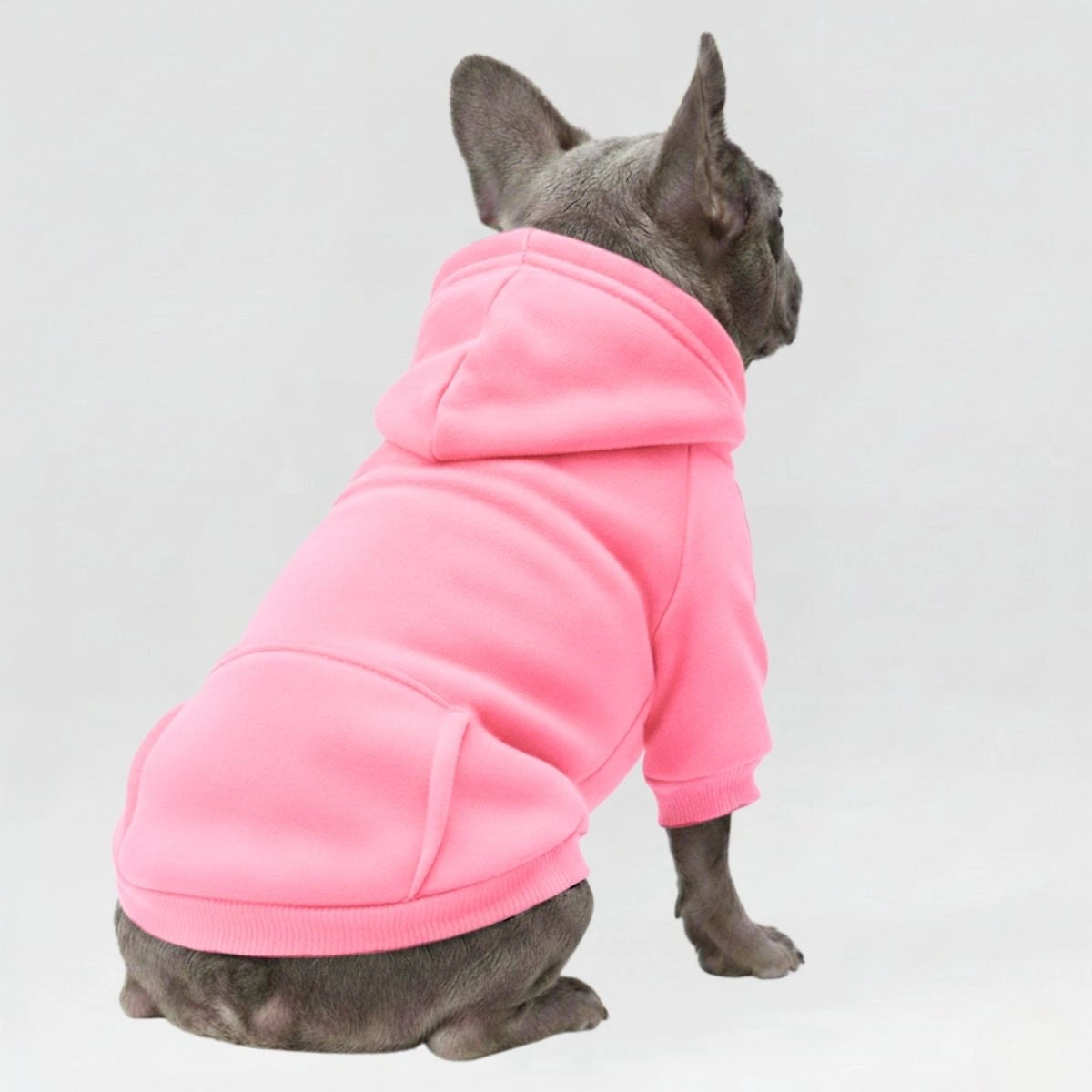 Colourful Cosy Dog Hoodies - Perfect for All-Weather Comfort
