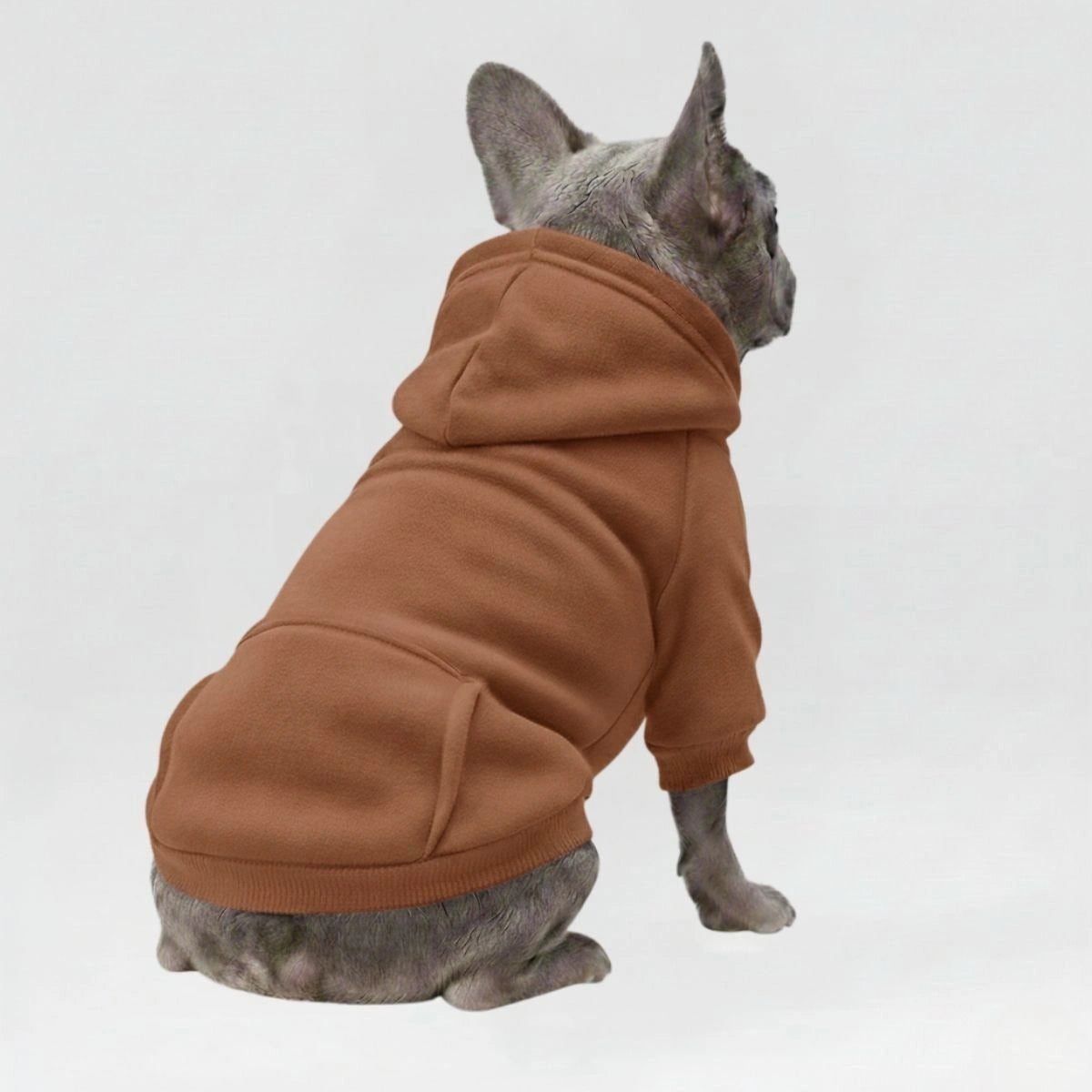 Colourful Cosy Dog Hoodies - Perfect for All-Weather Comfort