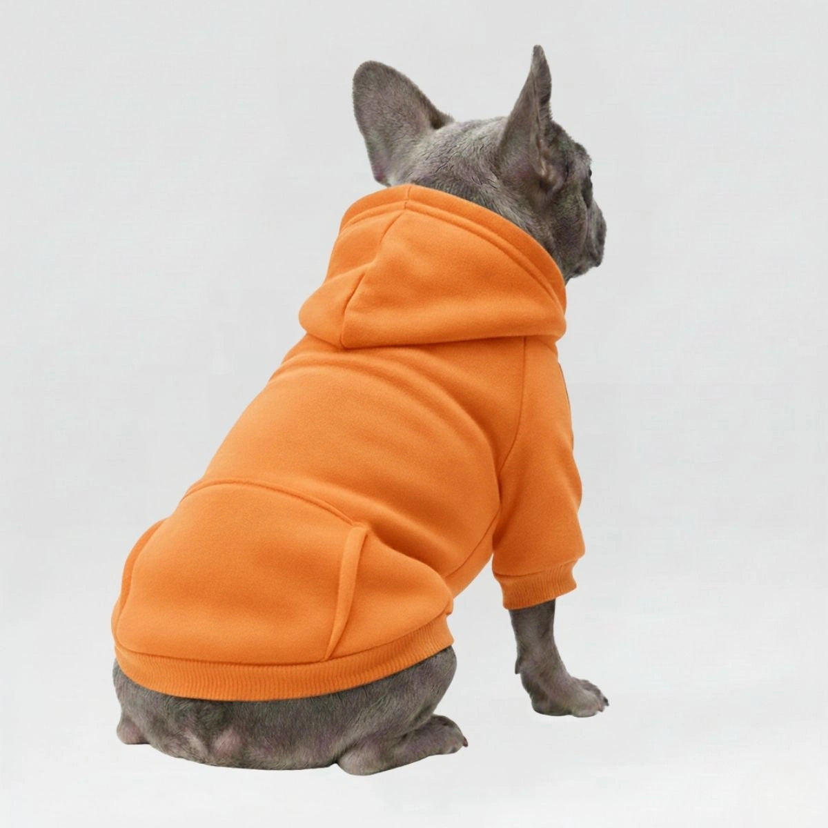 Colourful Cosy Dog Hoodies - Perfect for All-Weather Comfort