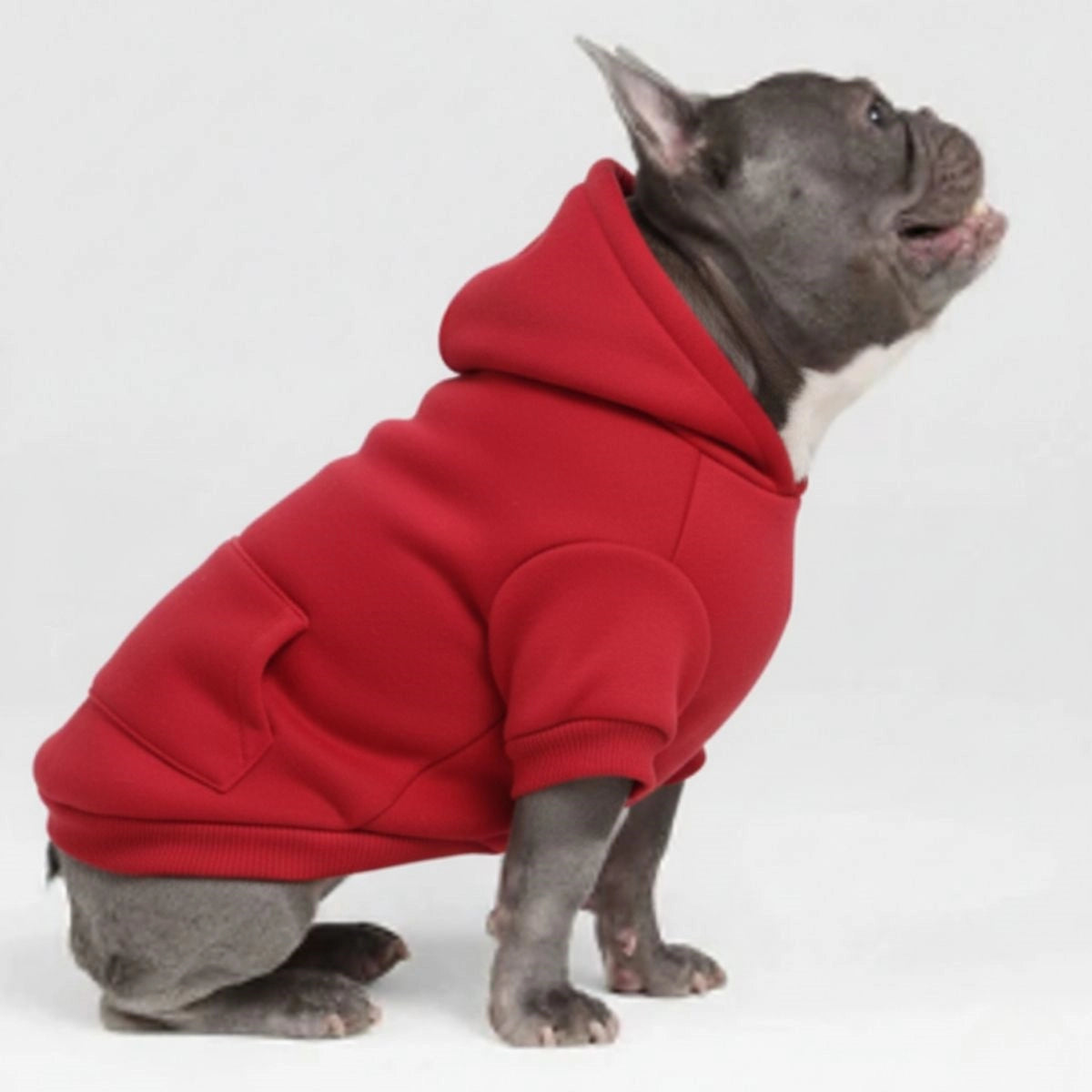 Colourful Cosy Dog Hoodies - Perfect for All-Weather Comfort