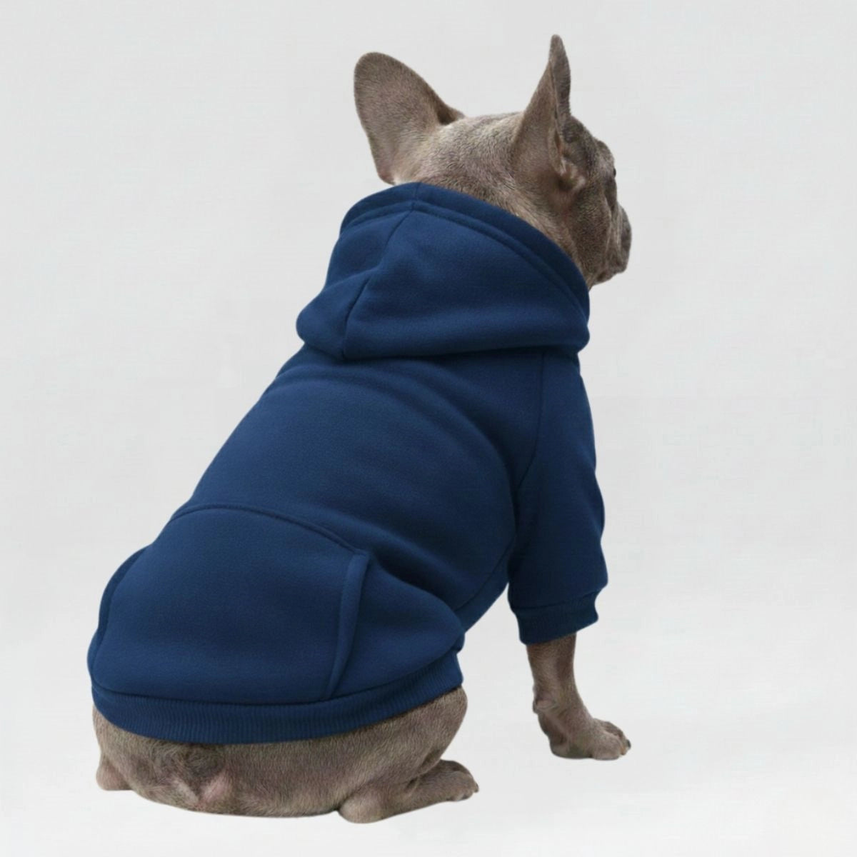 Colourful Cosy Dog Hoodies - Perfect for All-Weather Comfort