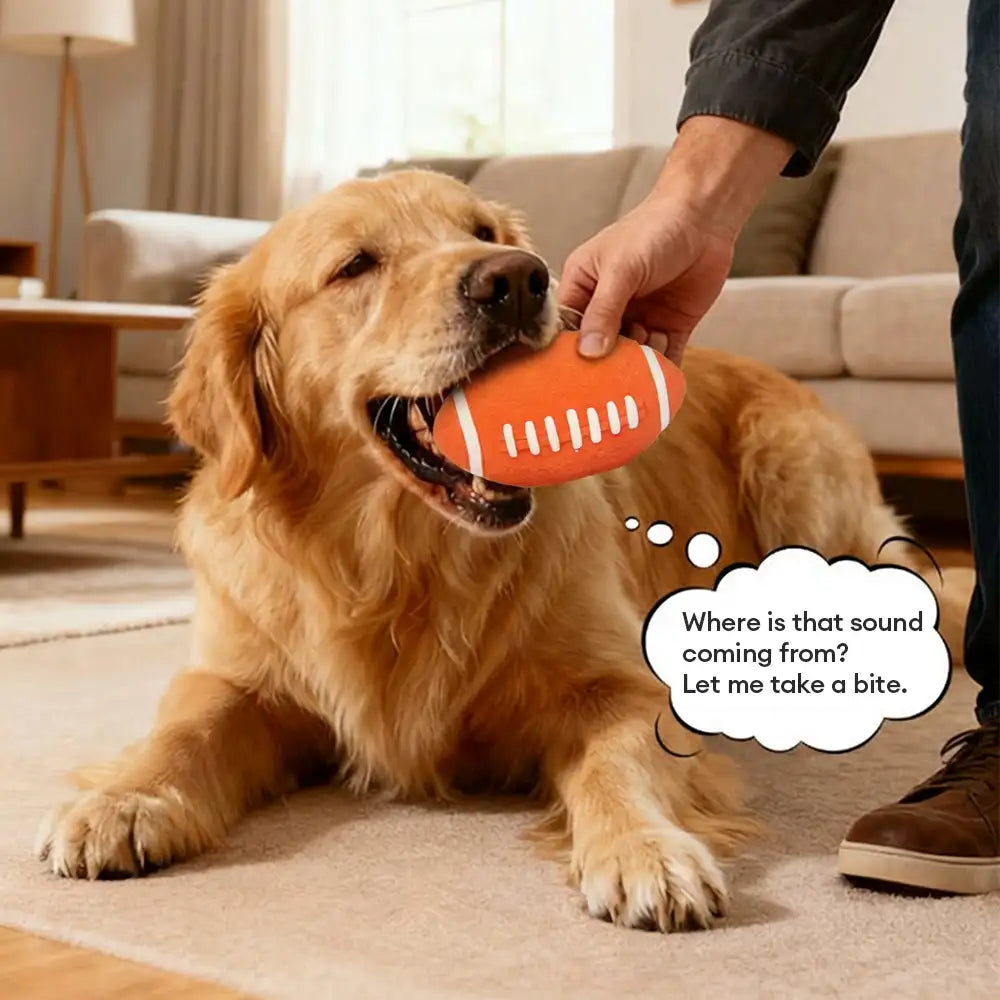 Durable Latex Teething With Squeaker Dog Chew Toy