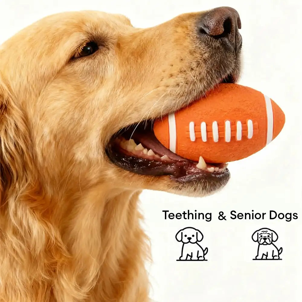 Durable Latex Teething With Squeaker Dog Chew Toy