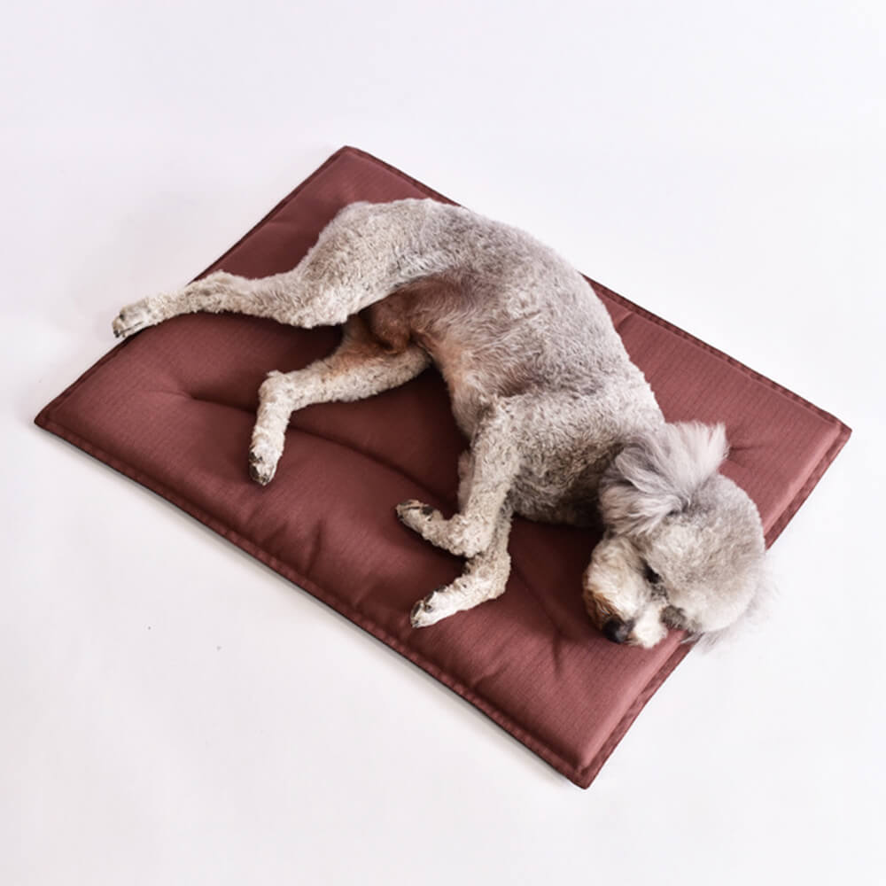 Durable Scratch-Resistant Oxford Fabric Anti-Tear Dog Mat