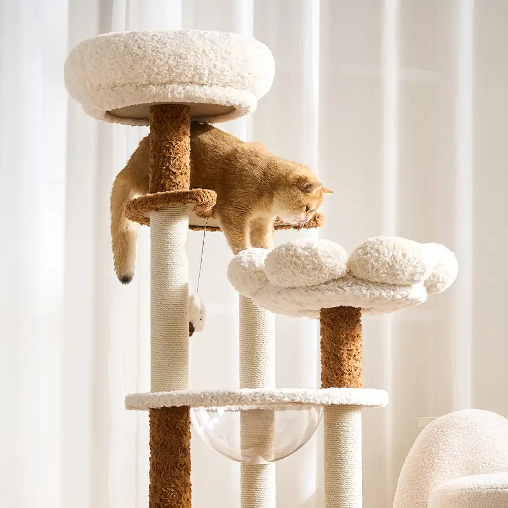Flower Multi-Level Cat Climbing Frame Scratching Post Cat Tree with Space Capsule