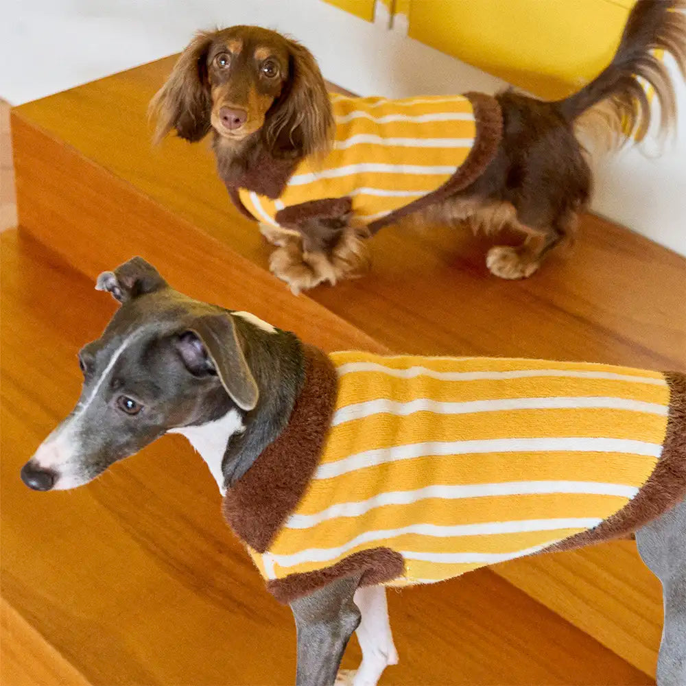 Color Blocked Striped Dachshund Polo Collar Dog Sweater