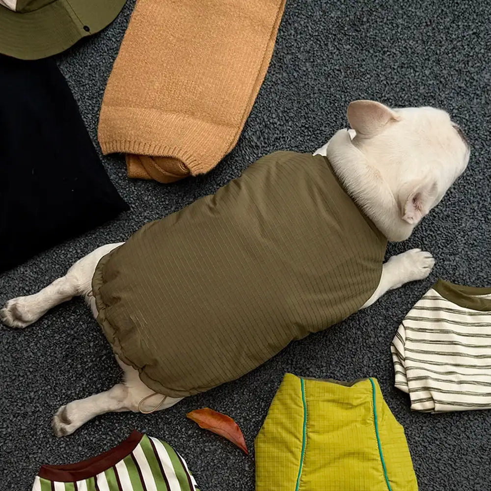 Fashion Reversible Padded Thick Warm Dog Jacket