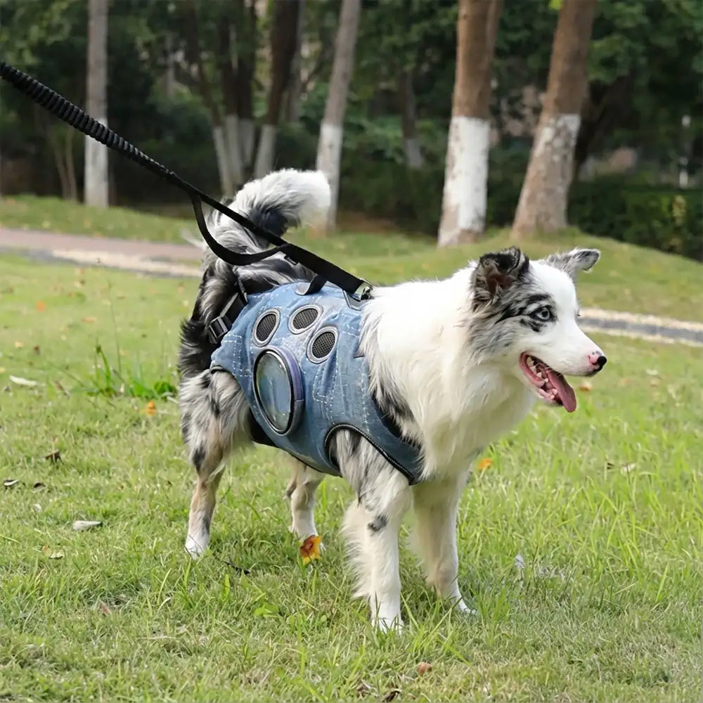 Hands-Free Dog Backpack Carrier for Travel & Hiking – Multifunctional Pack for Medium Dogs