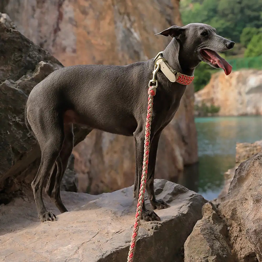 Heavy-Duty Hand-Woven Nylon Dog Leash for Medium and Large Dogs