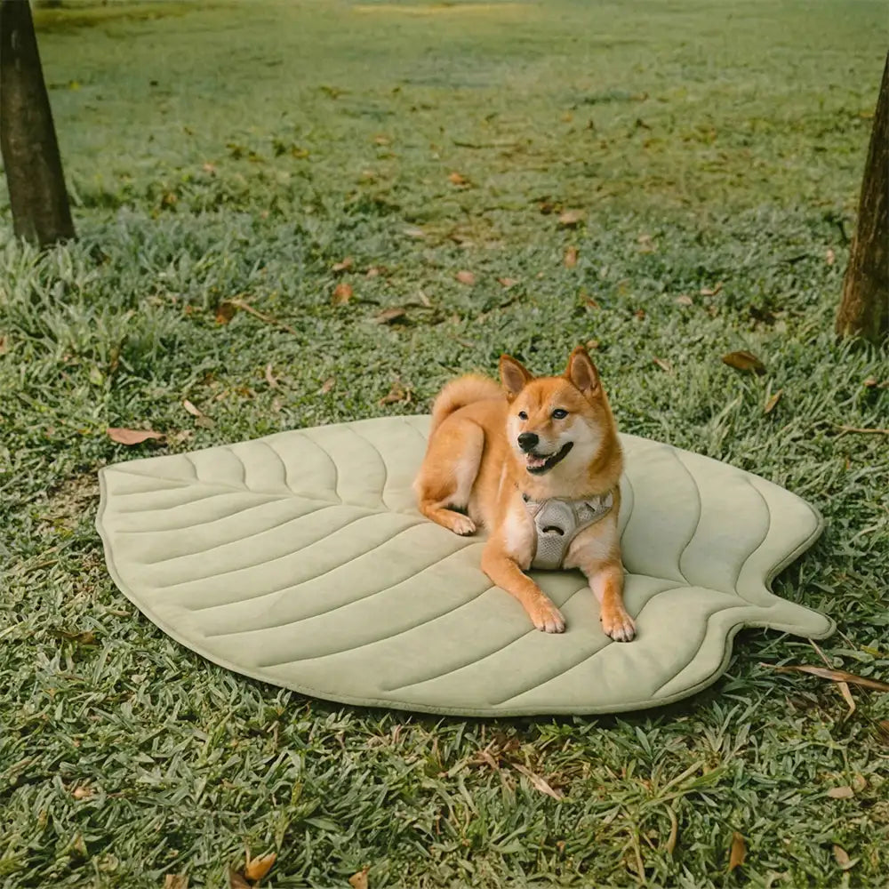 Leaf Shaped Cooling Fabric Heat-Absorbing Comfortable Non-Slip Dog Mat