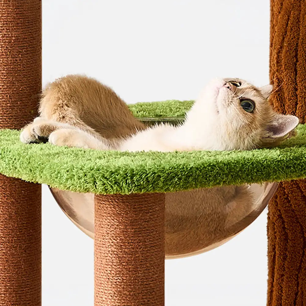 Playful Multi-Level Plush Activity Center Cat Tree with Space Capsule
