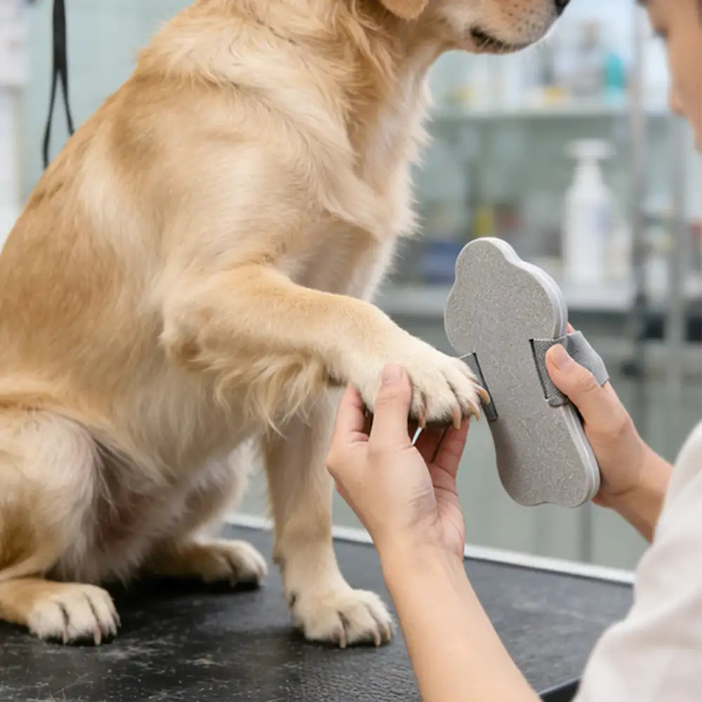 Portable Dog Nail Scratch Board