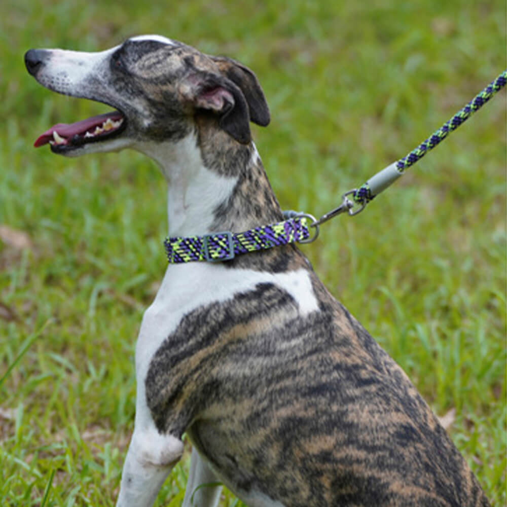 Reflective Weave Adjustable Anti Pull Dog Collar and Lead