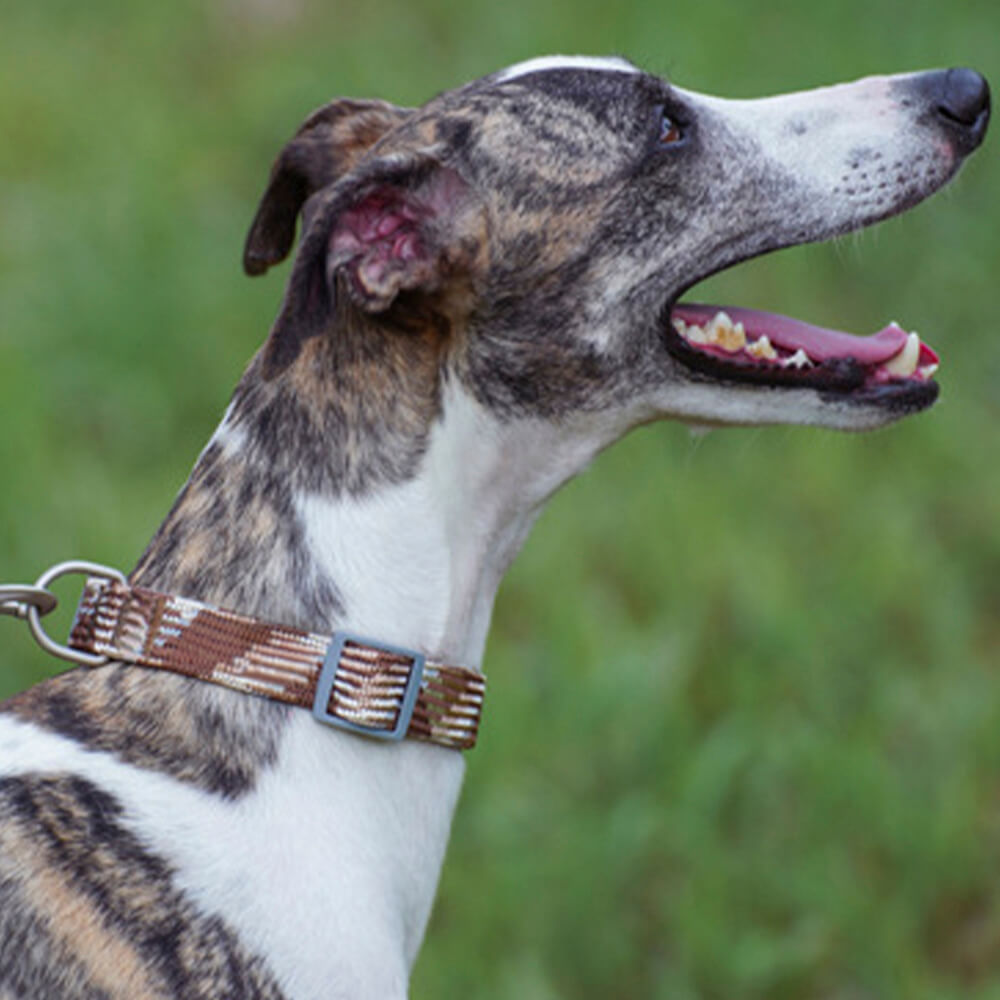 Reflective Weave Adjustable Anti Pull Dog Collar and Lead