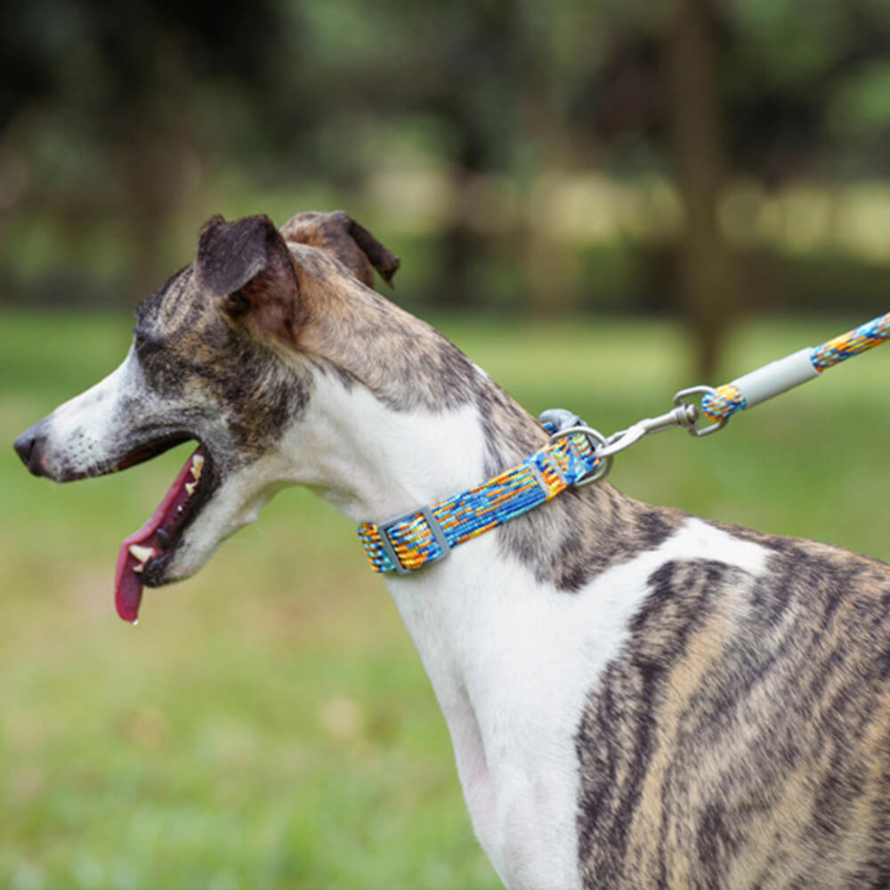 Reflective Weave Adjustable Anti Pull Dog Collar and Lead