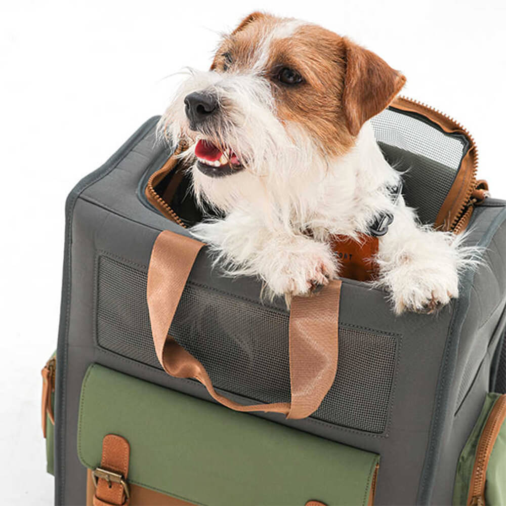 Dual-Colour Breathable Waterproof Canvas Outdoor Pet Carrier Backpack