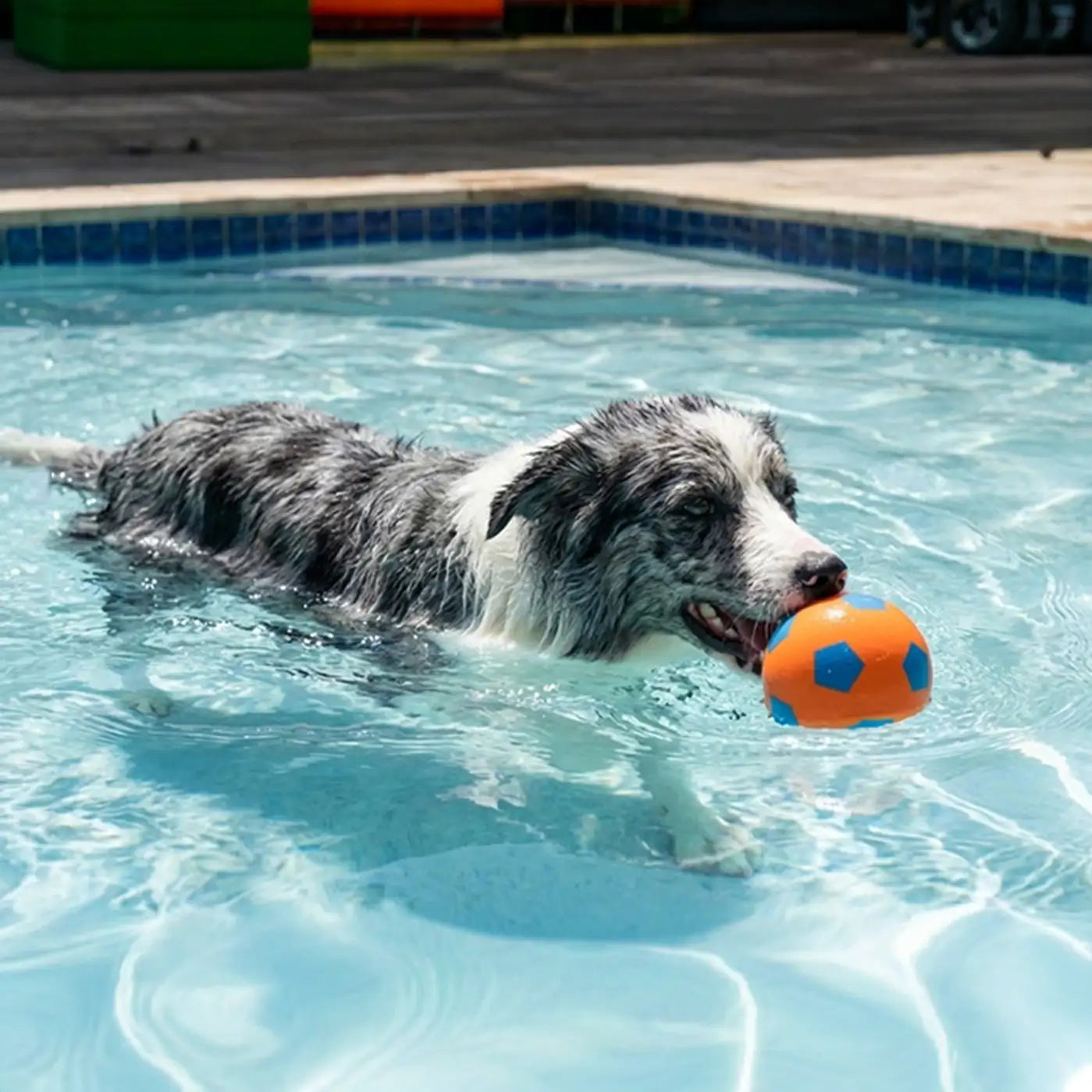 Funny High Elasticity Floating Football Dog Toy