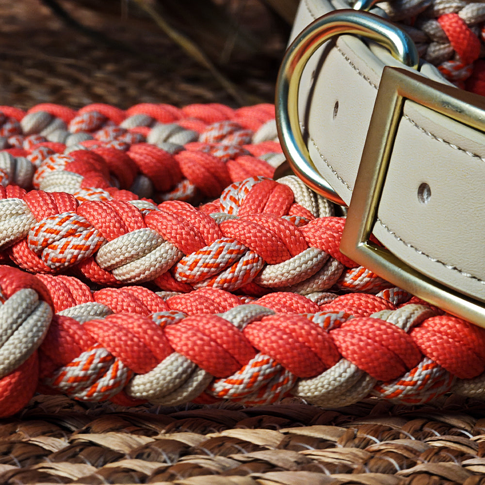 Hand-Woven Leather Multifunctional Anti-Pull Dog Collar and Lead Set