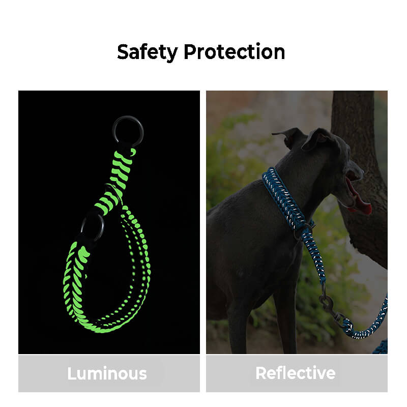 Handmade Anti-Pull Luminous Large Dog Collar and Lead