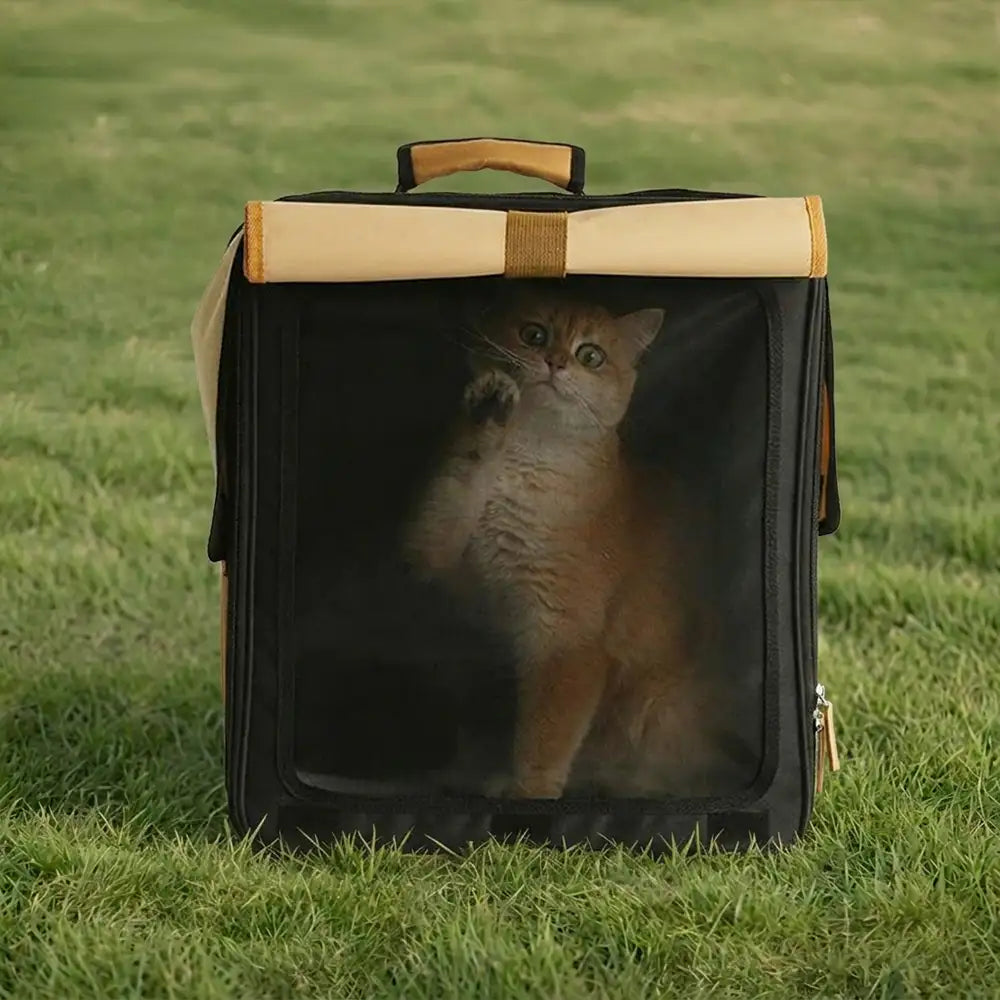 Multi-Purpose Breathable Roll-Up Pet Carrier Cat Backpack