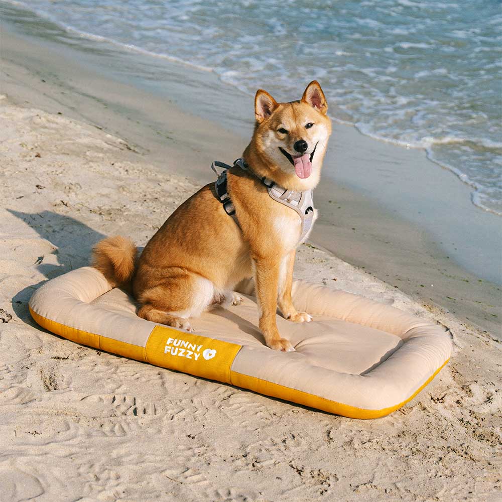 Outdoor Waterproof & Scratch-Resistant Colour-Blocked Orthopaedic Dog Mat - Trek Lounge