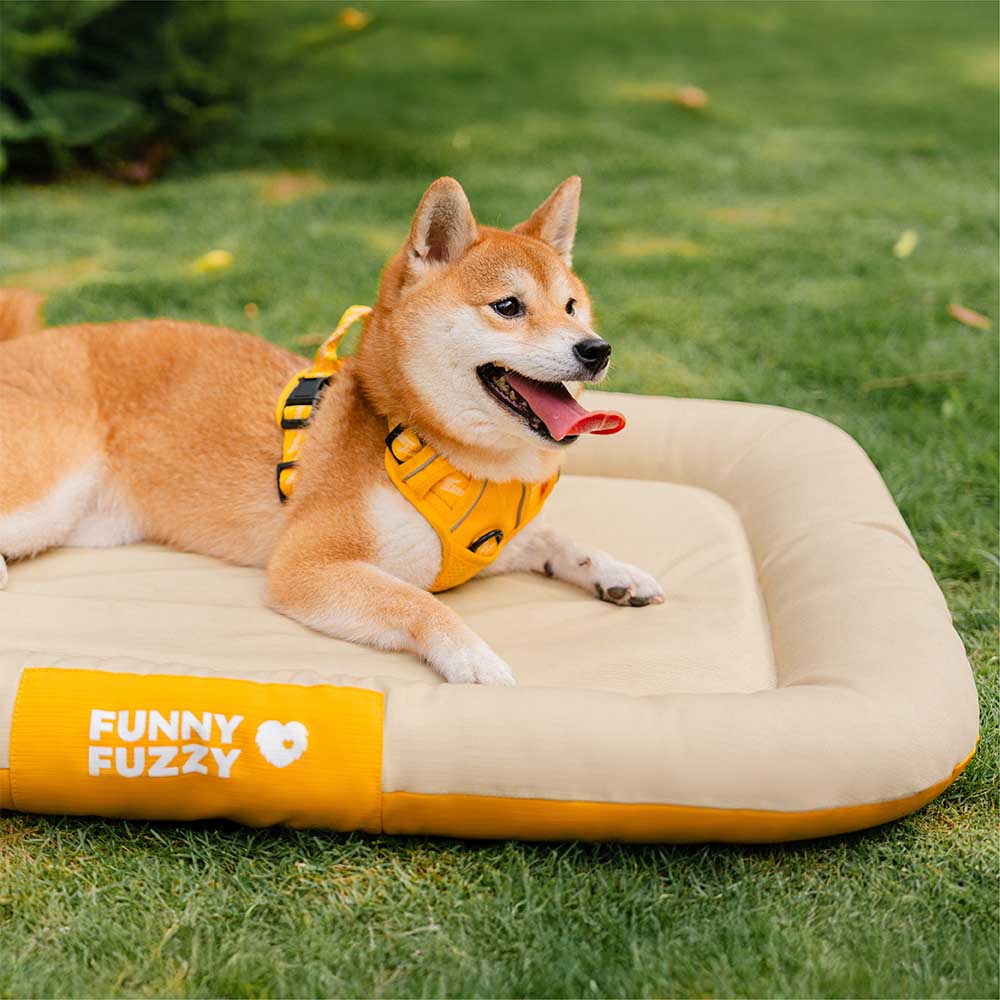 Outdoor Waterproof & Scratch-Resistant Colour-Blocked Orthopaedic Dog Mat - Trek Lounge