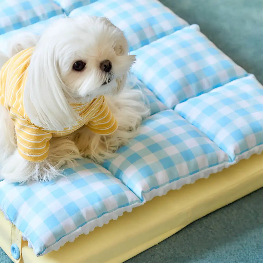 Play And Rest All-In-One Double-Layer Comfortable Washable Dog Bed - Pet Exclusive