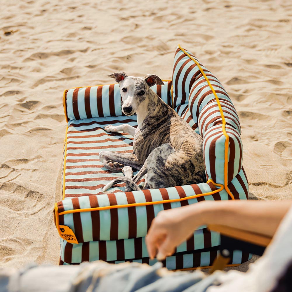 Stripe Waterproof Foldable Large Dog Sofa Bed - Sunny Siesta