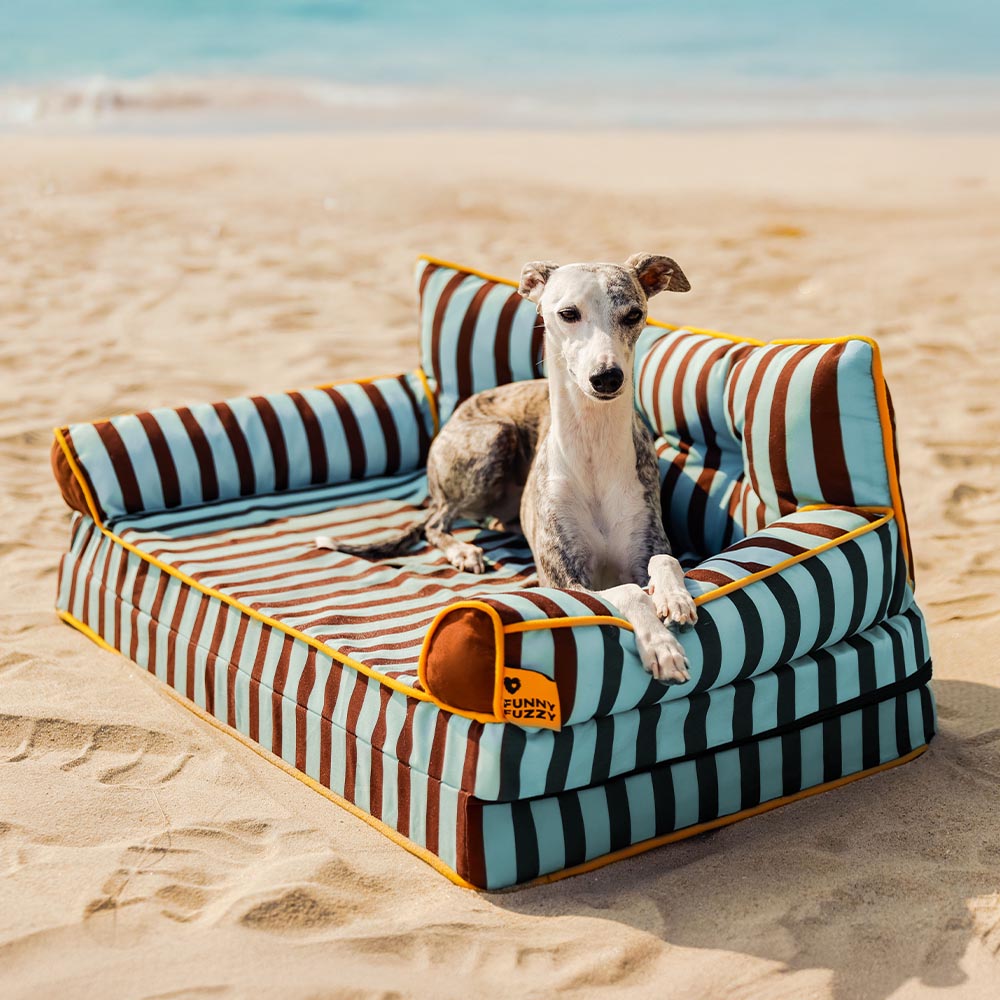 Stripe Waterproof Foldable Dog Sofa Bed - Sunny Siesta