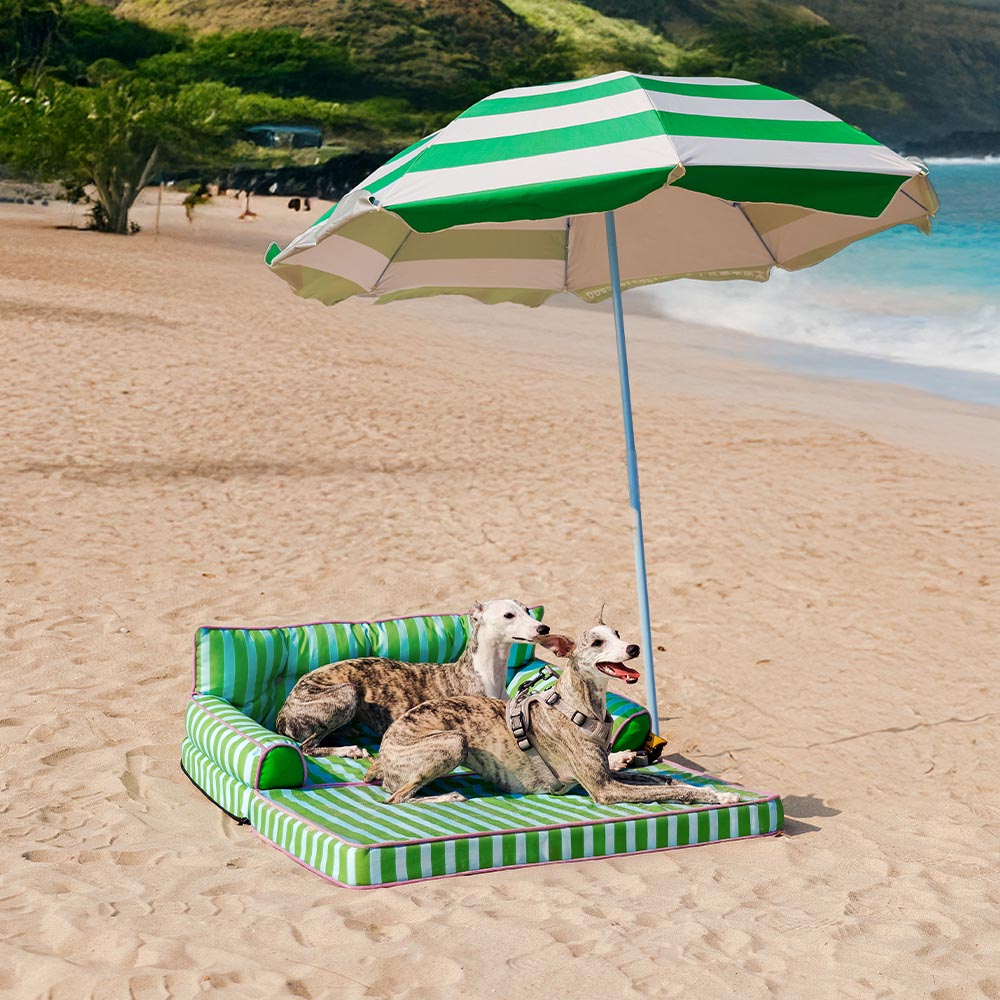 Stripe Waterproof Foldable Dog Sofa Bed - Sunny Siesta