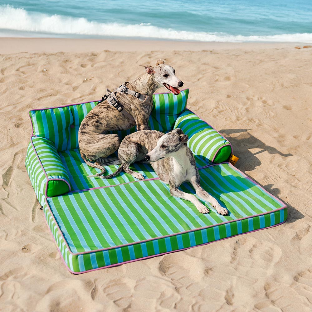 Stripe Waterproof Foldable Dog Sofa Bed - Sunny Siesta