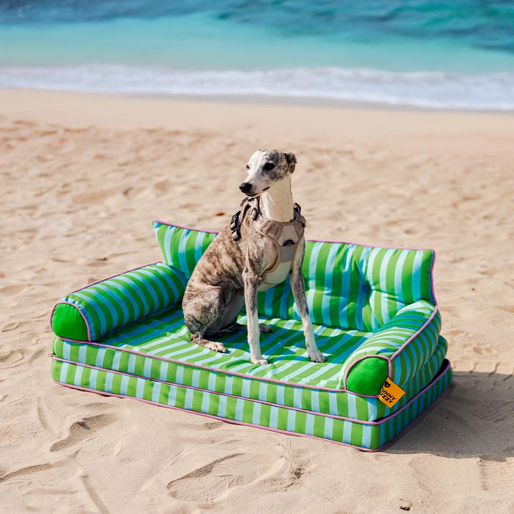 Stripe Waterproof Foldable Dog Sofa Bed - Sunny Siesta