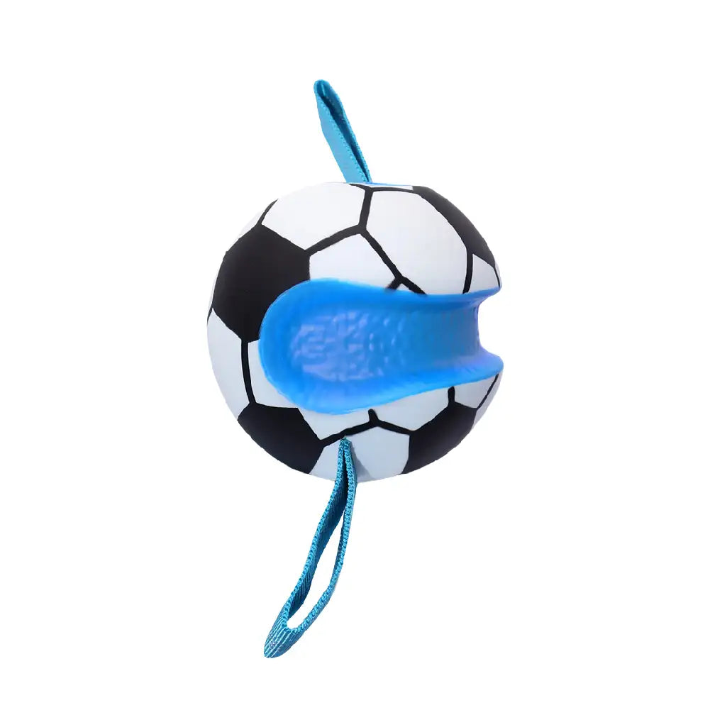 Teething & Play Elastic Interactive Dog Chew Toy